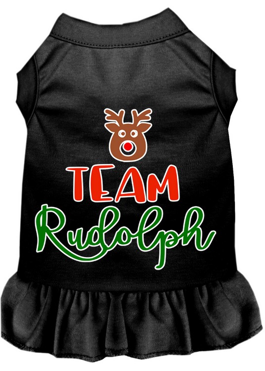 Team Rudolph Screen Print Dog Dress Black 4X